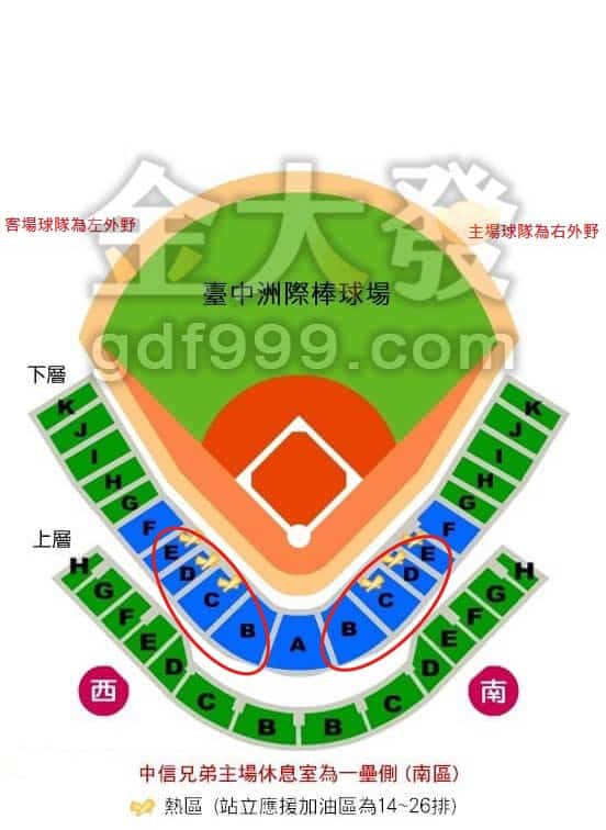 洲際棒球場座位坐14排看女神峮峮