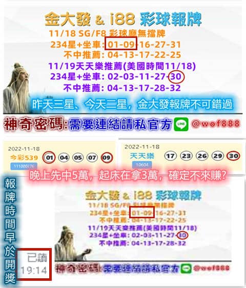 539報牌