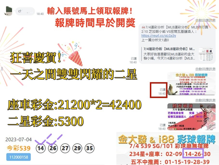 539報牌