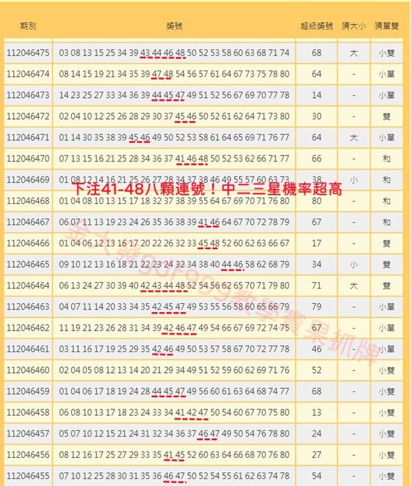 bingo bingo賓果賓果分析金大發教學